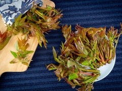 吃香椿的禁忌 吃香椿有哪些注意事项