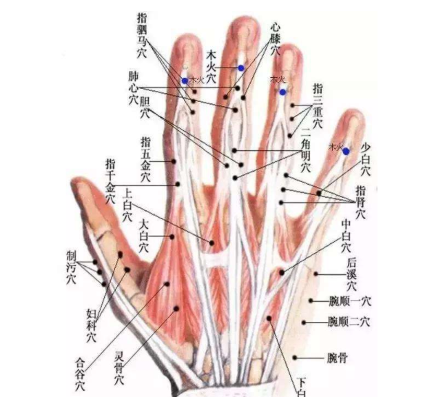 董氏针灸
