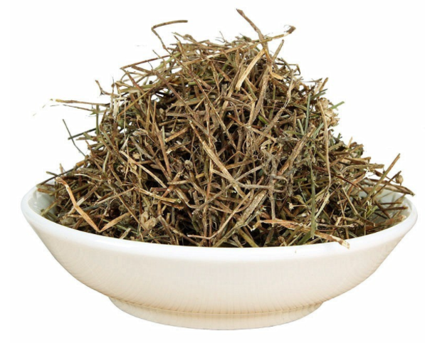 白花蛇舌草茶
