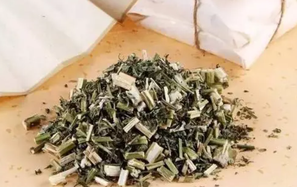 益母草