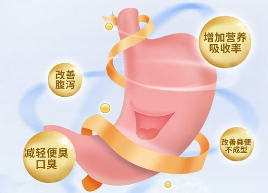 调脾胃