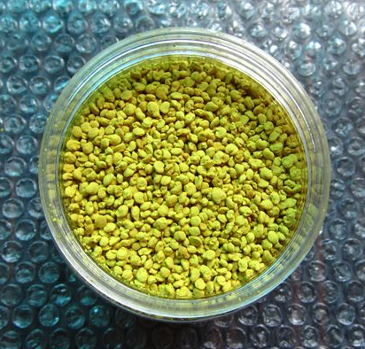 油菜花花粉