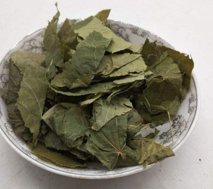 淫羊藿