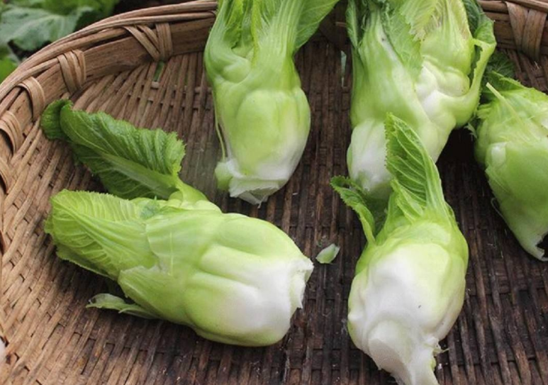 儿菜的吃法和做法 儿菜怎么做好吃