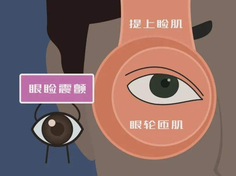 眼皮跳动