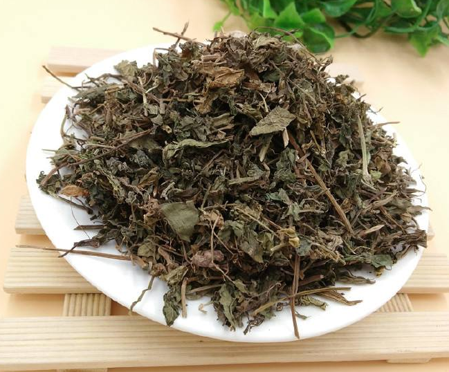 绞股蓝