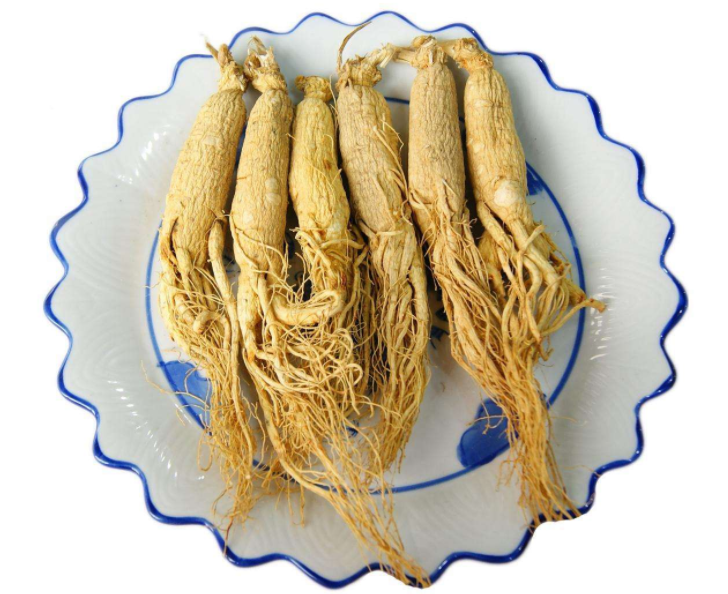 人参