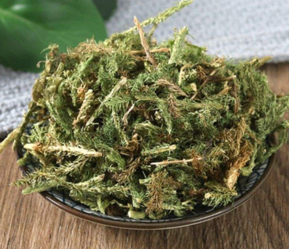 伸筋草