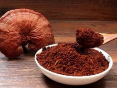 什么牌的破壁孢子粉好