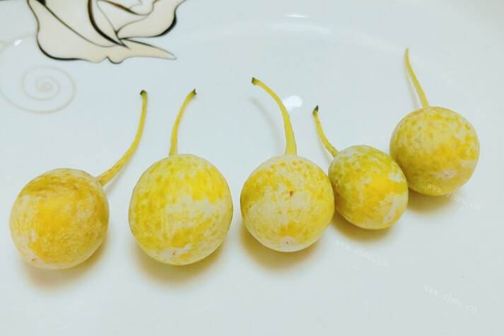 银杏果