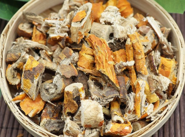桑树根皮