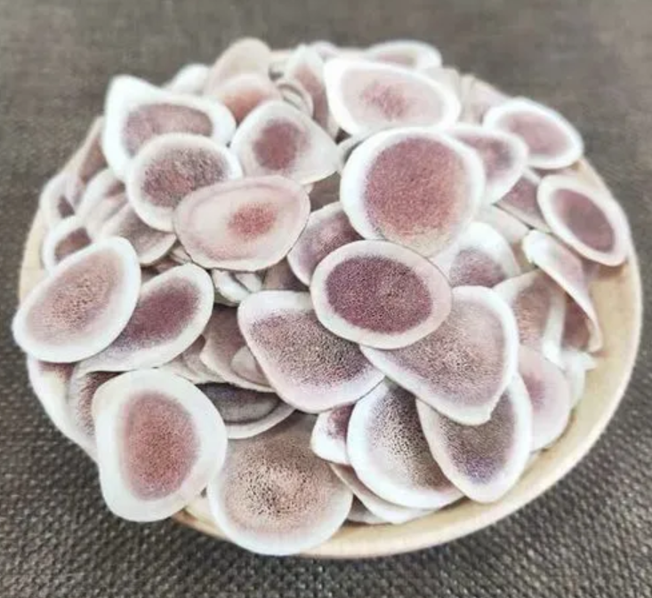 ​鹿茸