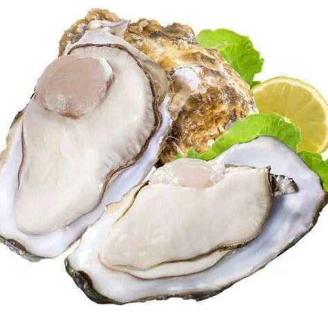 生蚝