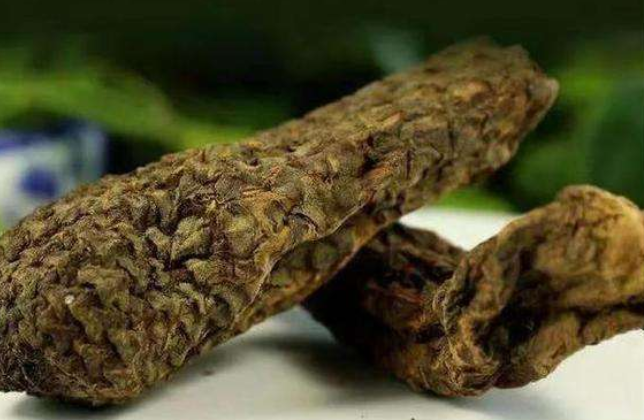 长期吃肉苁蓉的副作用