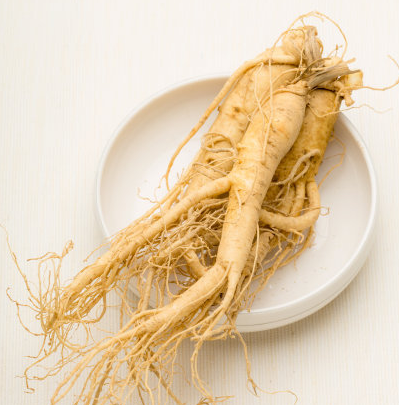 人参茶