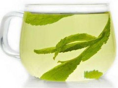 甜菊叶的功效与作用