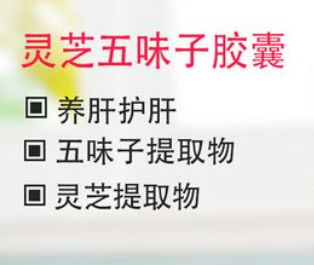 灵芝五味子胶囊