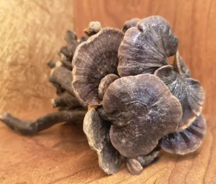 灵芝汤