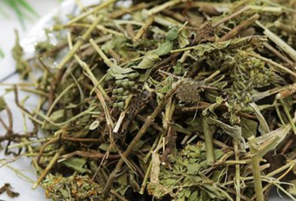 土茵陈