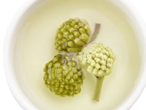 藏绿萝花功效与作用