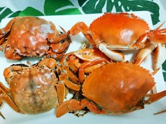 阳澄湖大闸蟹哪个牌子好