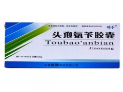 头孢氨苄胶囊的说明书