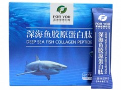 鱼胶怎么吃