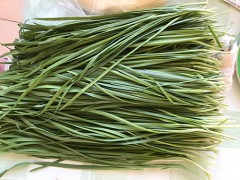 野韭菜花的功效与作用