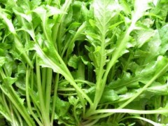荠菜的功效与作用