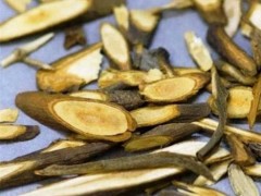 川桂枝的功效与作用