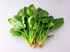 菠菜不能与什么同吃