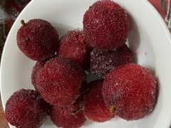 吃杨梅有哪些好处