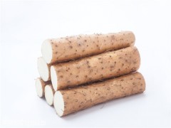 去湿热的食物