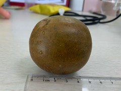 罗汉果的功效与作用及食用方法