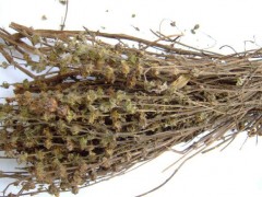 荆芥食用方法