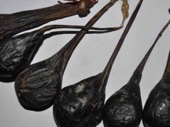 熊胆有什么作用 ？有哪些禁忌和注意事项