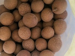 龙眼蜜的功效与作用