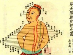 膀胱经的作用和功能