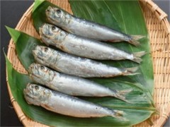 沙丁鱼的功效与作用