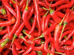上火了吃什么降火最快