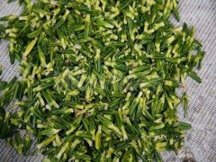 莲心的作用
