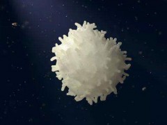 白细胞偏低是什么原因
