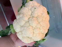 荠菜花又叫什么花