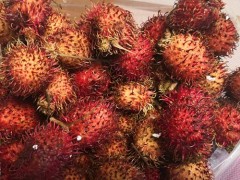 红毛丹怎么吃