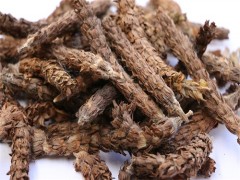 夏枯球的功效