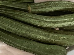 丝瓜络的功效与作用禁忌