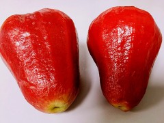 莲雾价格是多少钱一斤