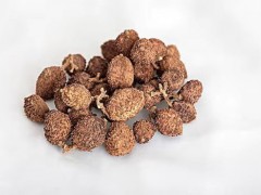 春砂仁的功效与作用及禁忌