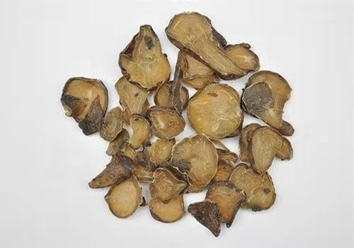 制黑附子的功效与作用