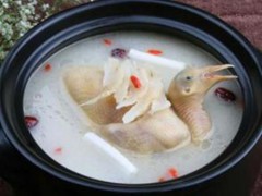 乳鸽的功效与禁忌